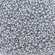 222-144027.SLC.1.jpg 10/0 Glass Seed Beads - Silver 20g Image