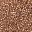 45-119641.SLC.1.jpg 11/0 Seed Beads - Bronze 24g Image