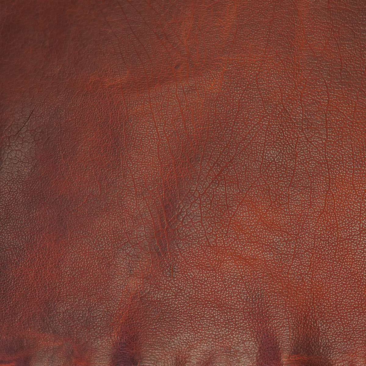 BIS.Whiskey.Shrunken.03.jpg Classic Bisonte Image