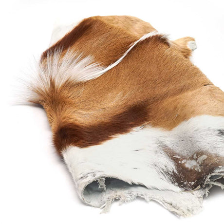 63-04.SLC.03.jpg Springbok Hair-on Skin Image