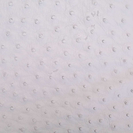 OSTH.Winter White.02.jpg Ostrich Hides Image