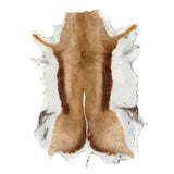 63-04.SLC.01.jpg Springbok Hair-on Skin Image