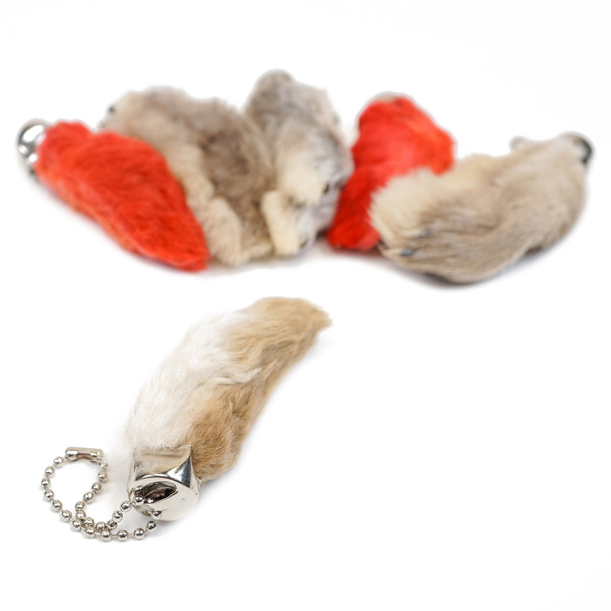 16-3338.SLC.2.jpg Assorted Rabbit Foot Image