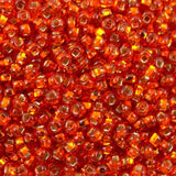 222-144206.SLC.jpg 10/0 Seed Beads - Orange Lined 20g Image