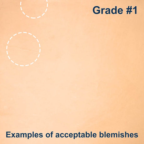 100-A.SLC.3.jpg Import Tooling Pre-Cut - 6" x 12" Image