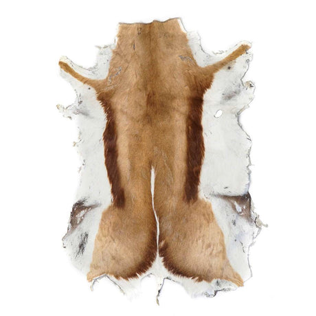 63-04.SLC.01.jpg Springbok Hair-on Skin Image