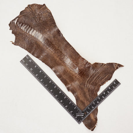 63-30514.SLC.3.jpg Ostrich Leg - Rugged Image