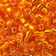 45-898.SLC.jpg 8/0 Seed Beads - Silver Lined Orange 22g Image