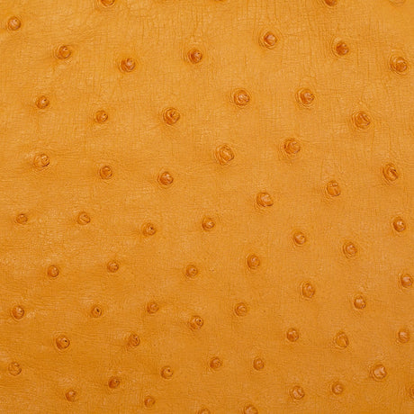 OSTH.Buttercup.02.jpg Ostrich Hides Image
