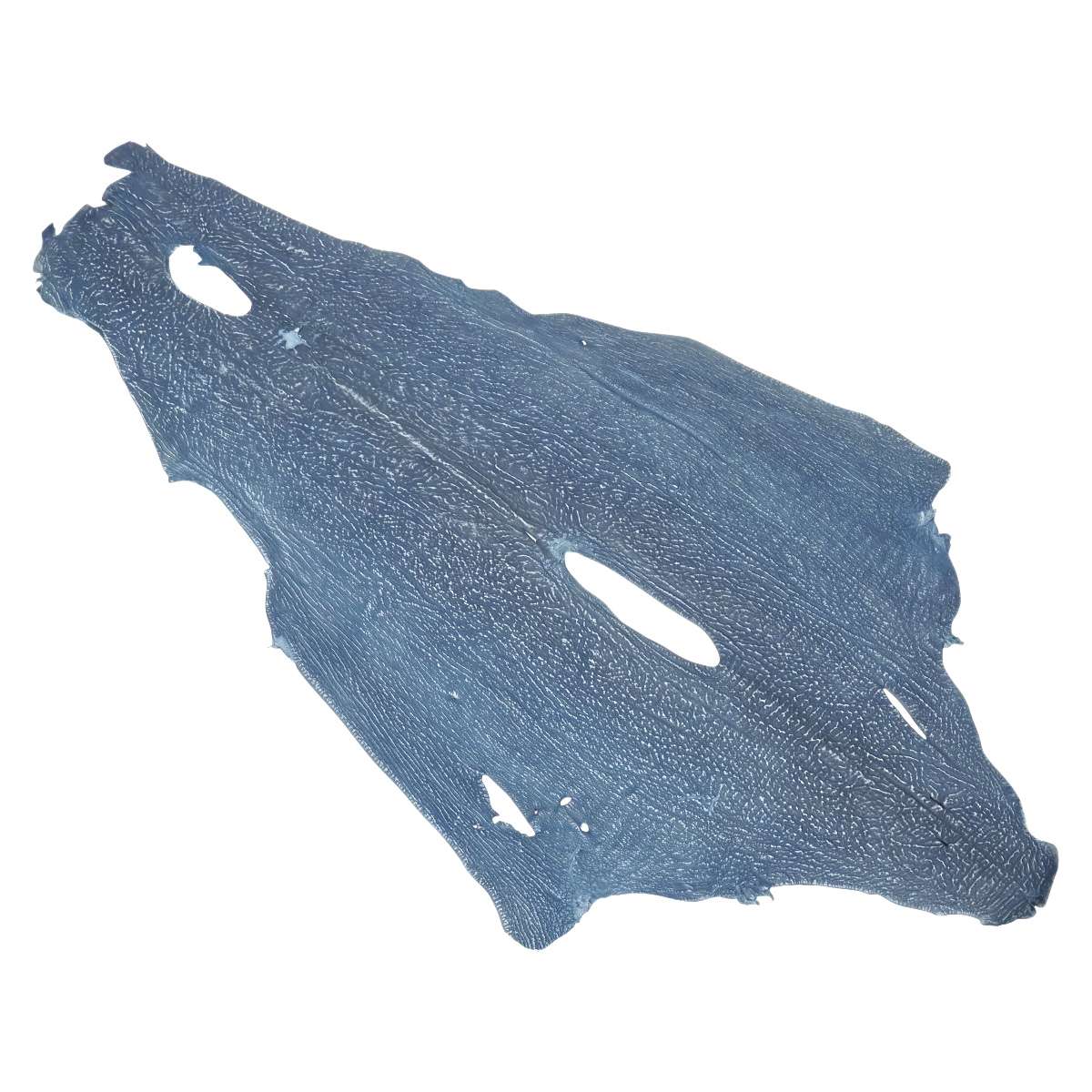 Safari Sharkskins | Springfield Leather – Springfield Leather Co