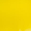 Canary Yellow Shrut & Asch Kidskins