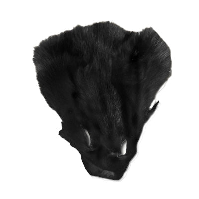 126-191.SLC.jpg Black Fox Face Image