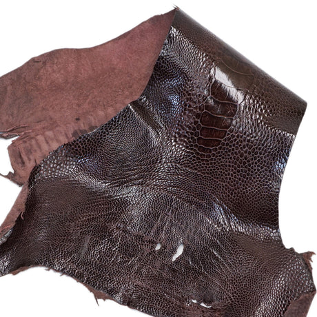 22-17.SLC.3.jpg Special Purchase Ostrich Leg - Bordeaux Image