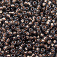 229-104.SLC.jpg Seed Beads 10/0 Black Diamond Crystal Lined - 20g Image