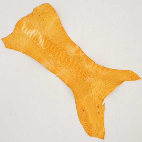 63-30508.SLC.2.jpg Ostrich Leg - Chrysanthemum Image