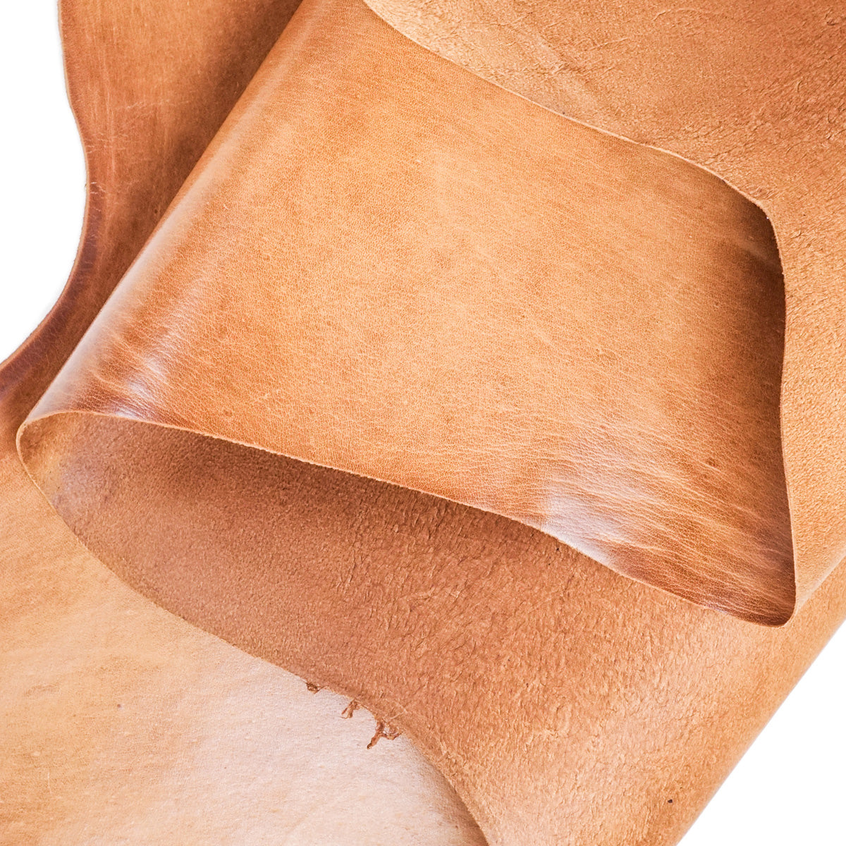 VTKS.Ochre.Glazed Finish.2.jpg Veg Tan Kangaroo Skins Image