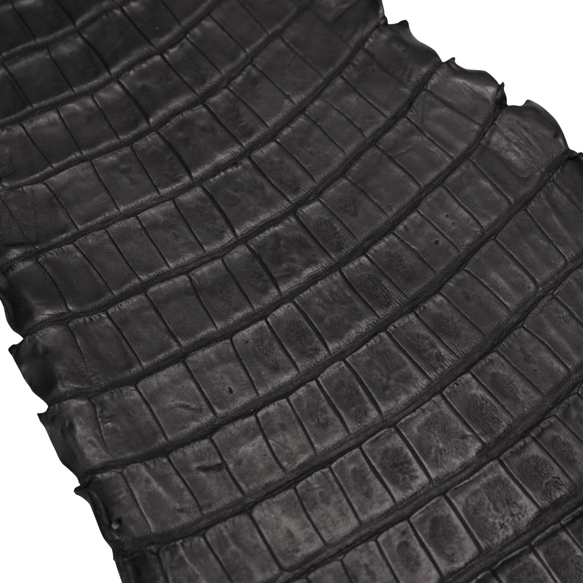 NCROC.Black.Belly.03.jpg Nile Crocodile Tails Image