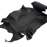 63-326.SLC.01.jpg Nile Croc with Hornback - Black Small Image