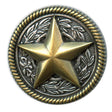 141-007.SLC.jpg 1 1/4" Rope Edge Star Concho Image