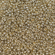 45-1594201.SLC.1.jpg 15/0 Seed Beads - Duracoat Galvanized Silver 8.2g Image