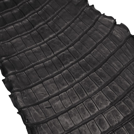 NCROC.Black.Belly.03.jpg Nile Crocodile Tails Image