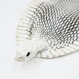 39-1.SLC.1.jpg Natural Cobra Skin with Head Image