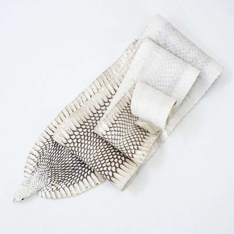 39-1.SLC.3.jpg Natural Cobra Skin with Head Image