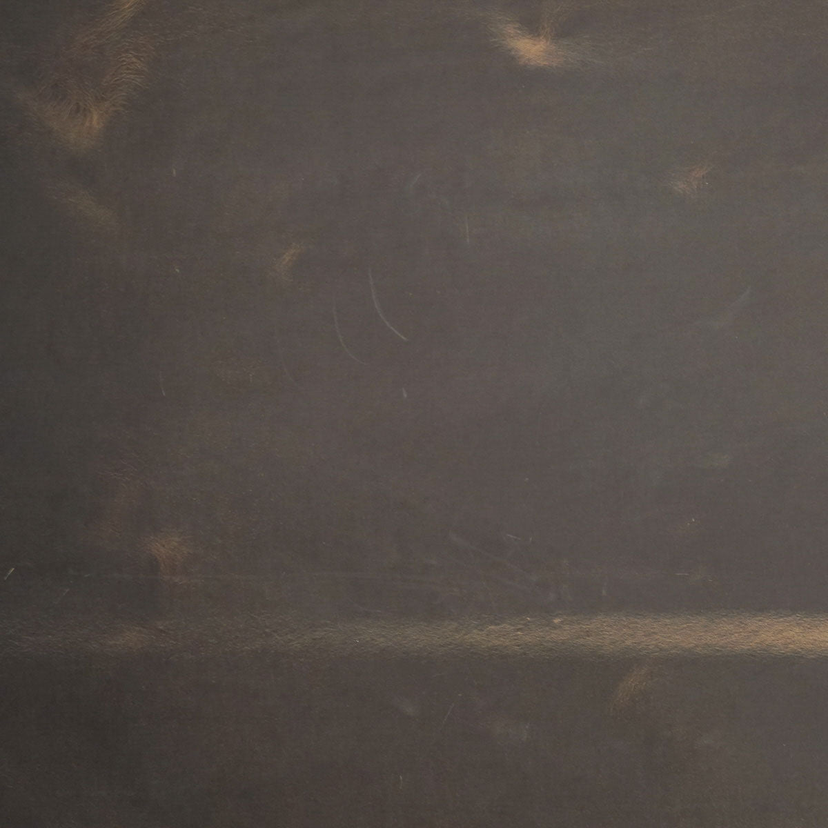 SBFH.Sepia.03.jpg SB Foot Hillbilly Sides Image