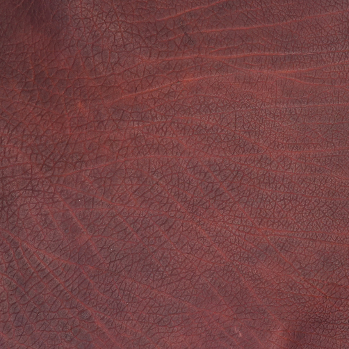 SGBDS.Matte Brown.03.jpg Shrunken Grain Buffalo Double Shoulders Image