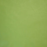 62-02.SLC.3.jpg Lightweight Biker-Chap Side - Avocado Image