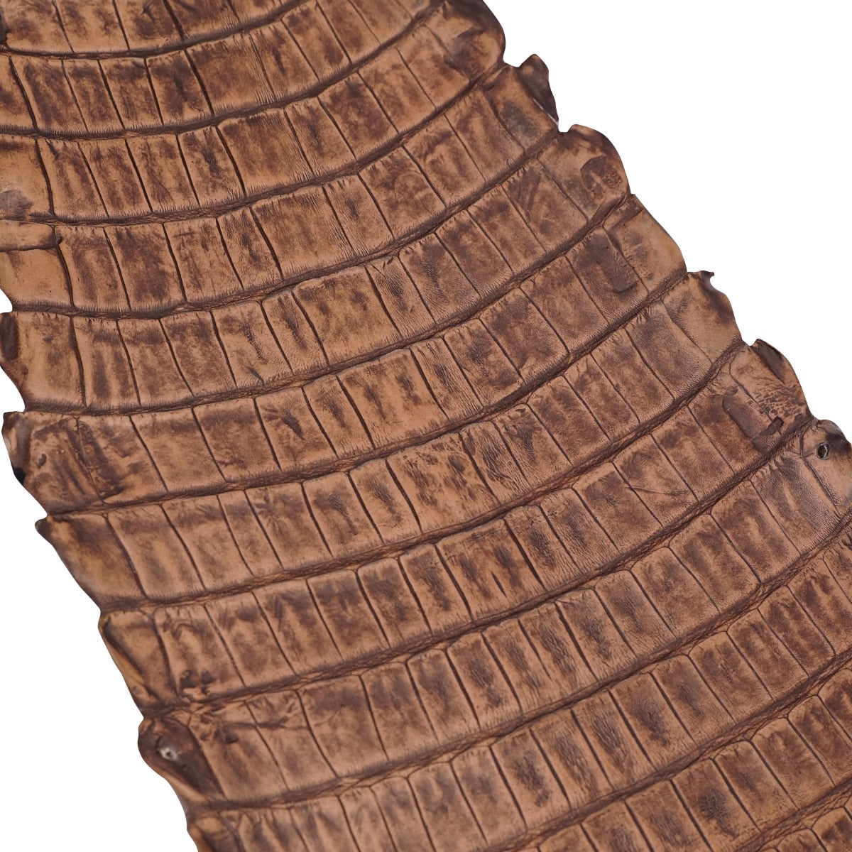 NCROC.Antique Pecan.Belly.03.jpg Nile Crocodile Tails Image