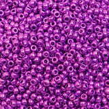 229-1019.SLC.1.jpg Seed Beads 10/0 Metallic Purple - 20g Image