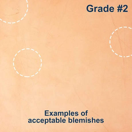 100-A.SLC.4.jpg Import Tooling Pre-Cut - 6" x 12" Image