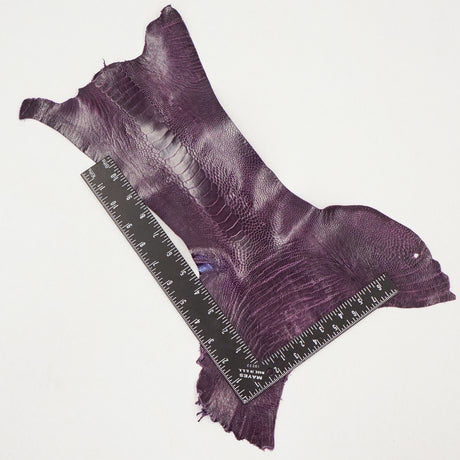 63-30501.SLC.3.jpg Ostrich Leg - African Violet Image