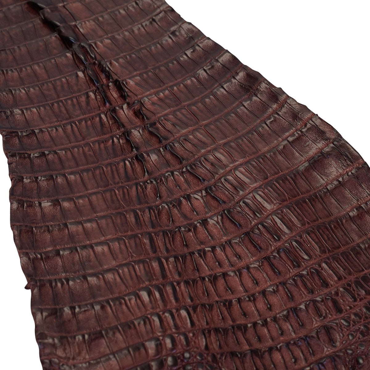 NCROC.Cognac.Hornback.02.jpg Nile Crocodile Tails Image