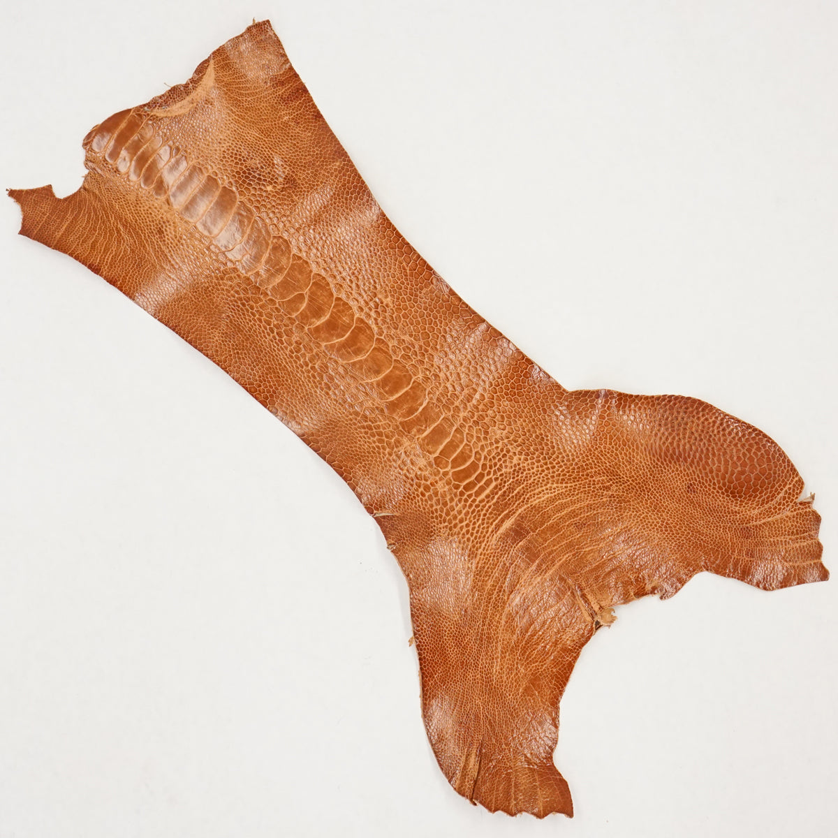 63-30506.SLC.2.jpg Ostrich Leg - Brandy Image
