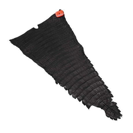 NCROC.Black.Belly.02.jpg Nile Crocodile Tails Image