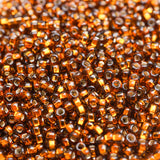 Seed Beads 10/0 Silver Lined Brown - 20g