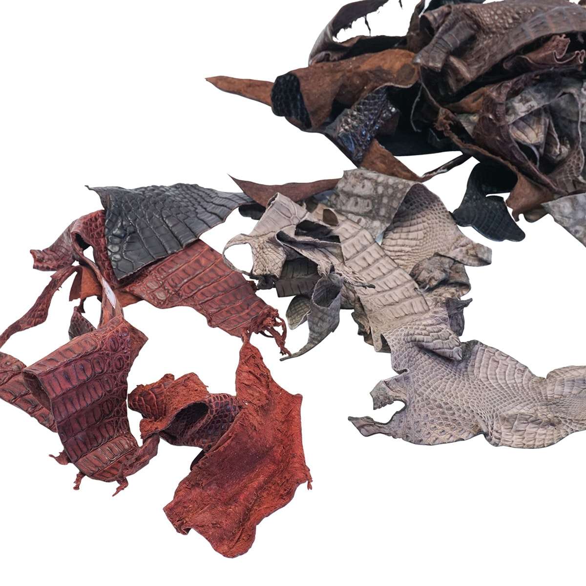 912-501.SLC.02.jpg Caiman Tail and Remnant Pack Image