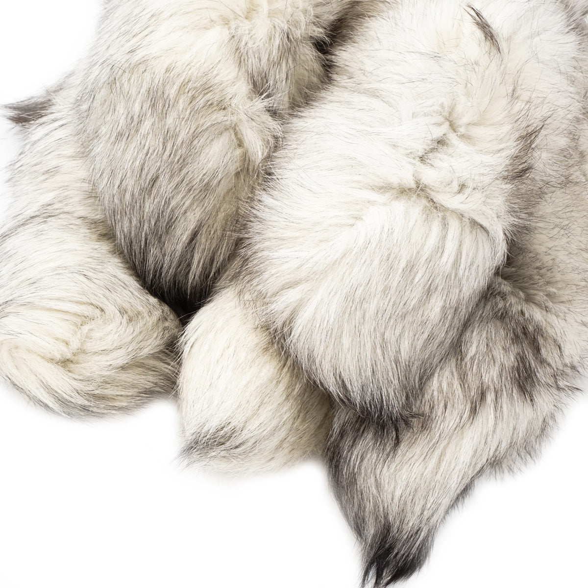 126-601.SLC.1.jpg Blue Fox Tail Image