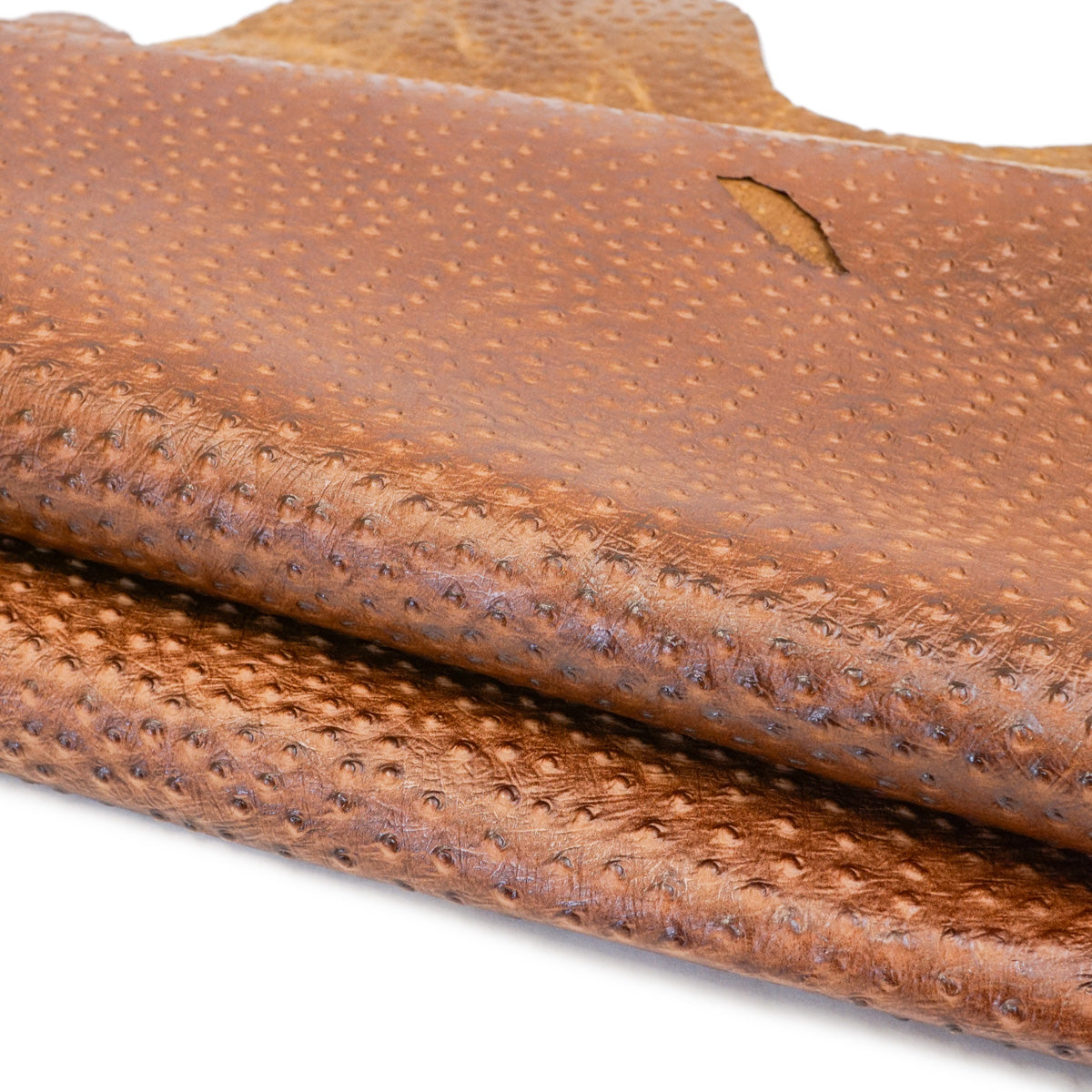 371-403.SLC.2.jpg Ostrich Print on Pig - Tan Image