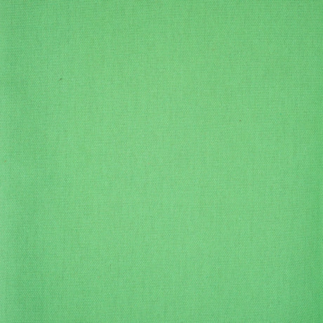 33-72410.SLC.4.jpg Lightweight Canvas - Apple Green Image