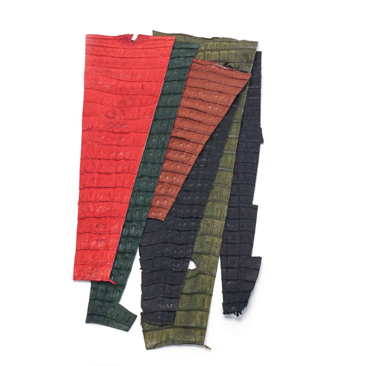 76-6.SLC.02.jpg Trimmed Caiman Tail - Assorted 5pk Image
