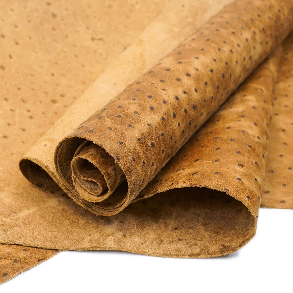 57-7512.SLC.1.jpg Rustic Ostrich Print - Pecan Image