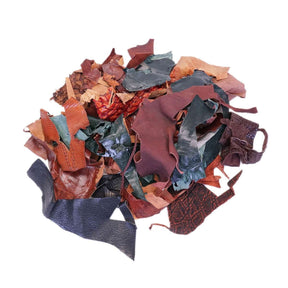 Kevin's SPECIAL Exotic Scrap Bag