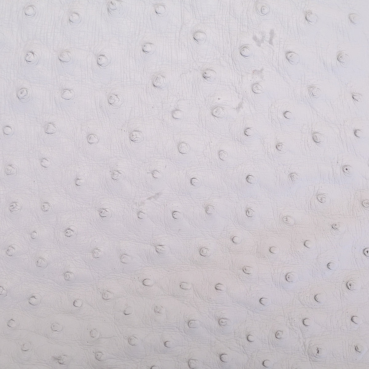 OSTH.Winter White.02.jpg Ostrich Hides Image