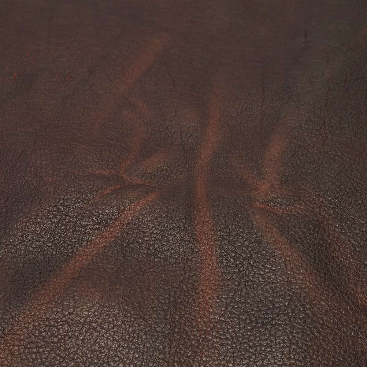 BIS.Dark Whiskey.Shrunken.04.jpg Classic Bisonte Image
