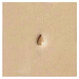 6233-00.SLC.jpg Stamping Tool - P233 Pear Shader Image