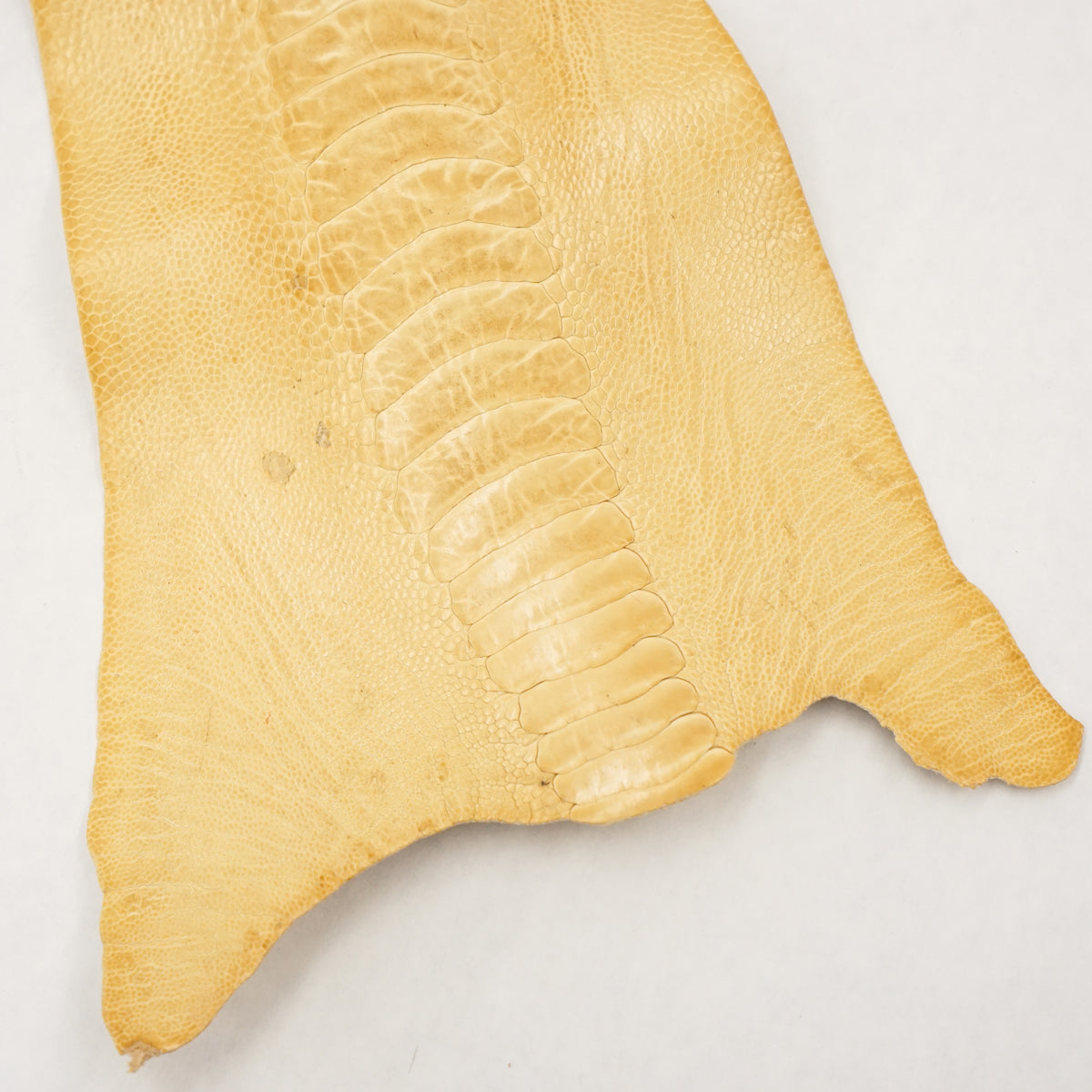 63-30517.SLC.1.jpg Ostrich Leg - Wheat Image