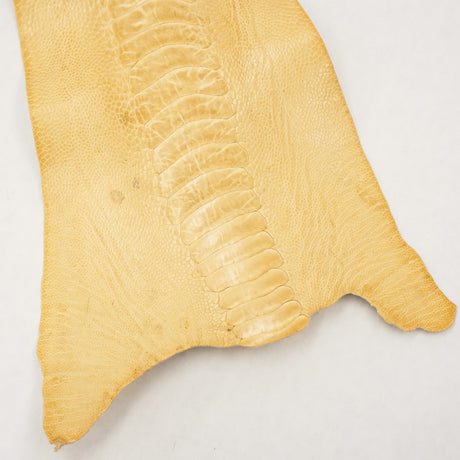 63-30517.SLC.1.jpg Ostrich Leg - Wheat Image